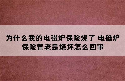 为什么我的电磁炉保险烧了 电磁炉保险管老是烧坏怎么回事